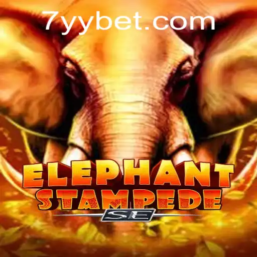 ElephantStampedeSE: A Thrilling Adventure in the World of YYBET